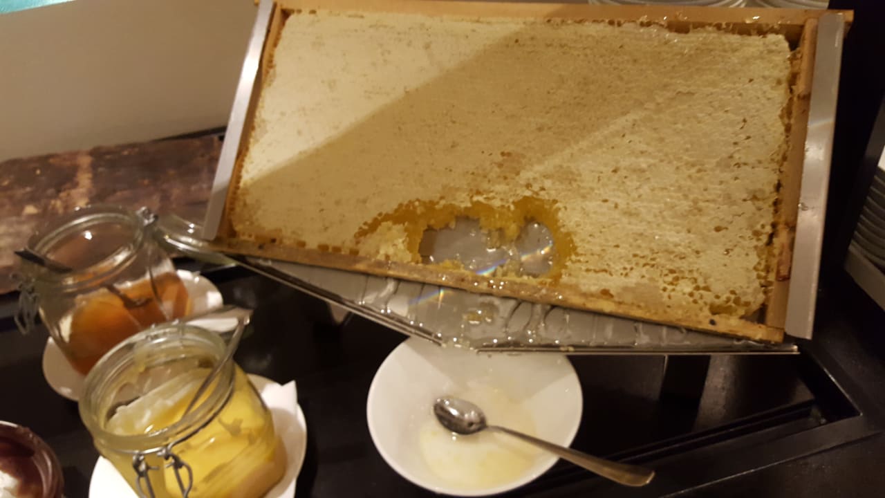 Gastro Hilton Frankfurt Gravenbruch