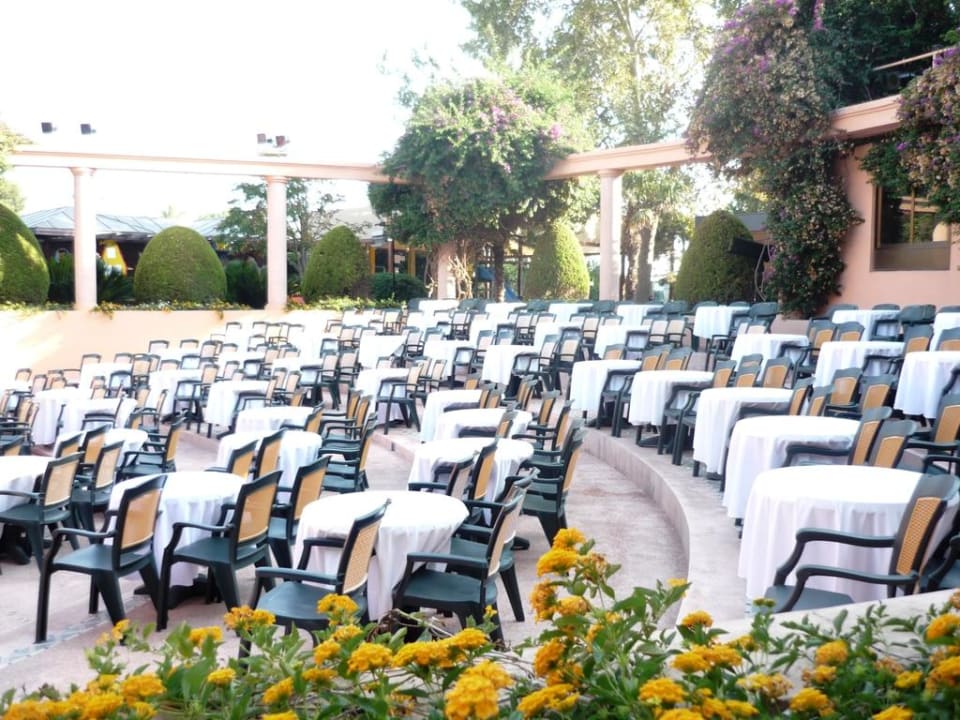 Amphitheater Side Star Elegance