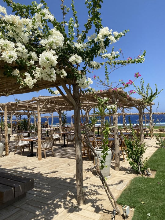 Gastro Steigenberger Resort Alaya Marsa Alam - Red Sea - Adults only