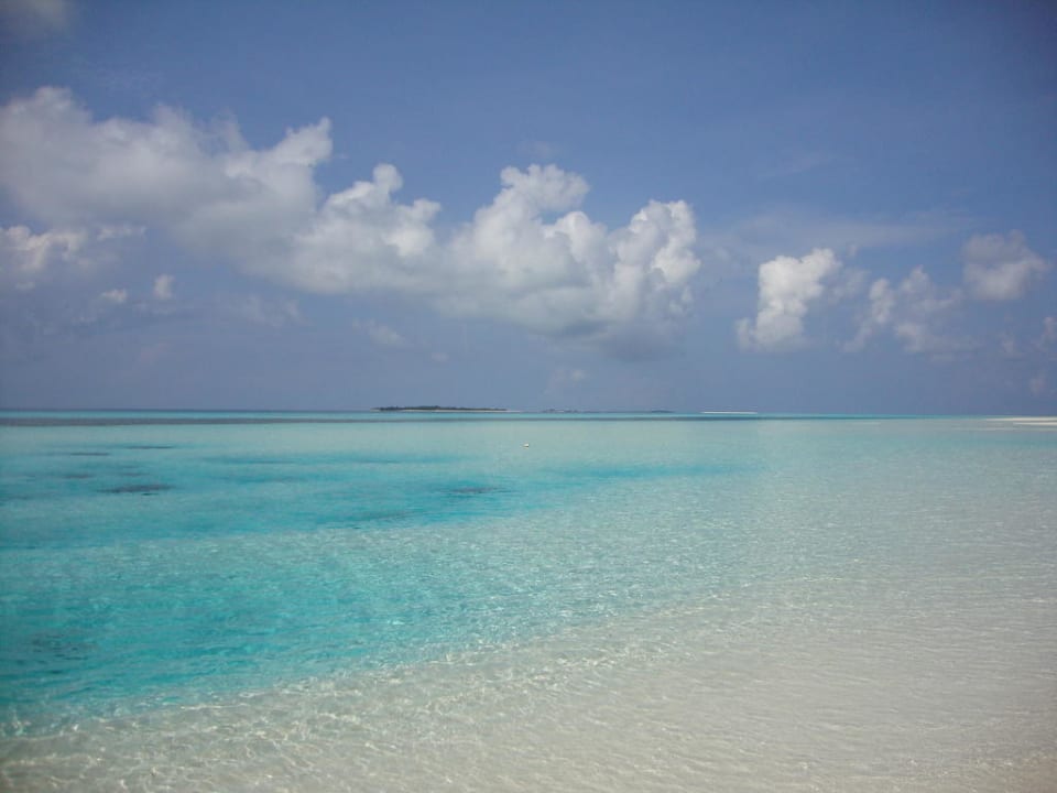 Die hausigene Sandbank Kuredu Island Resort & Spa