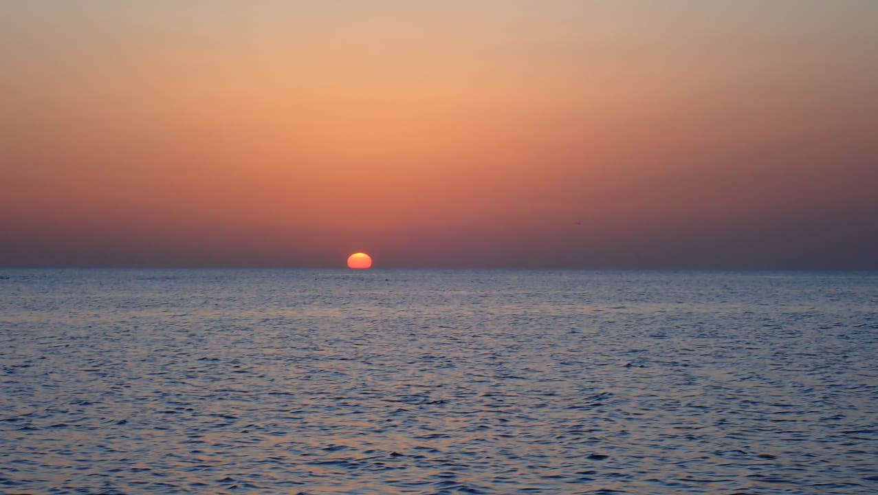 Ausblick Steigenberger Coraya Beach - Adults only