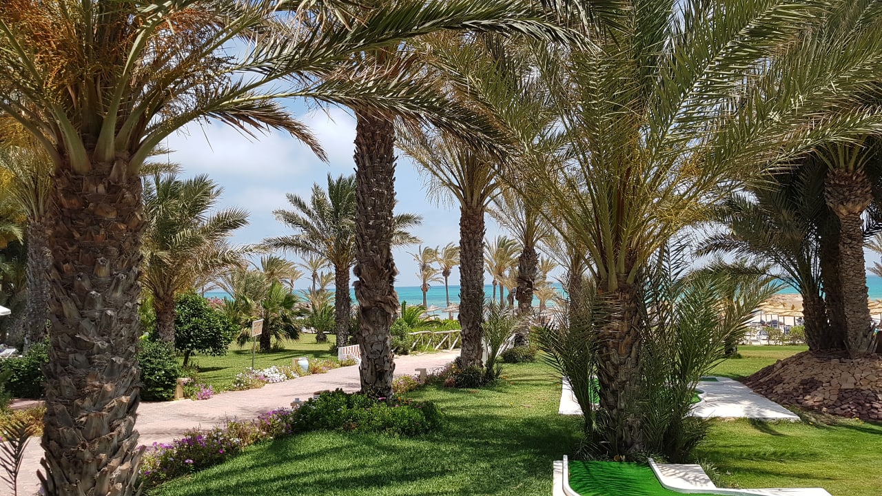 Gartenanlage Club Palm Azur