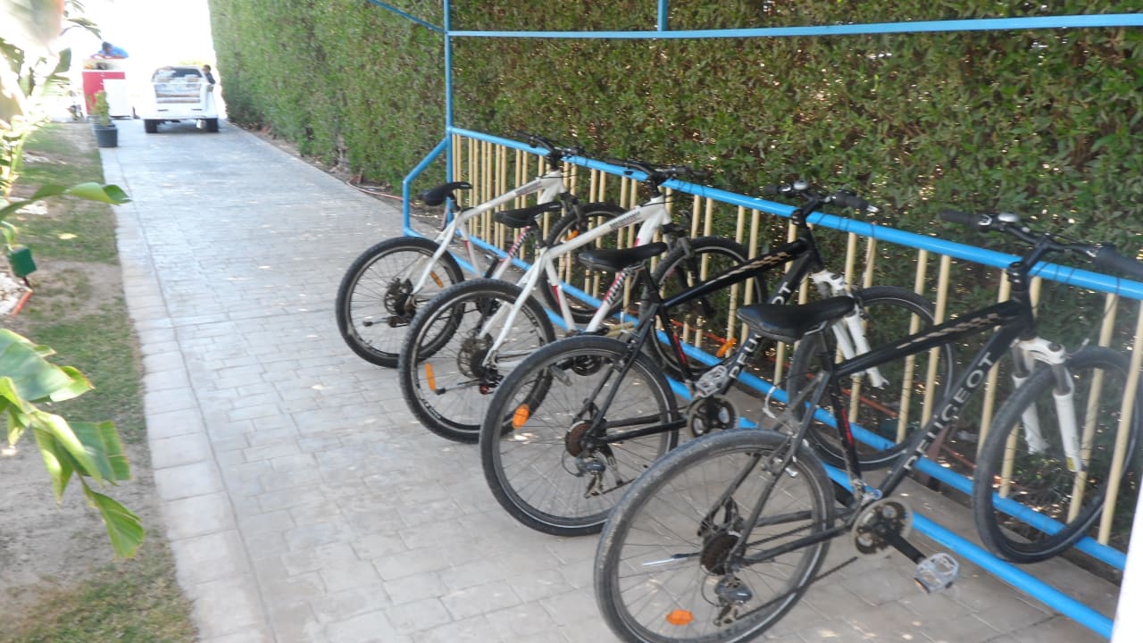 10 Dollar/Std. Premier Le Reve Hotel & Spa