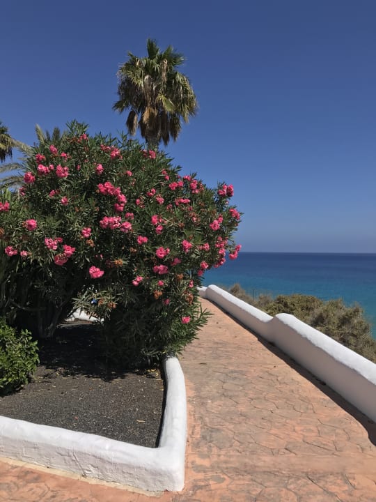 Ausblick Aldiana Club Fuerteventura