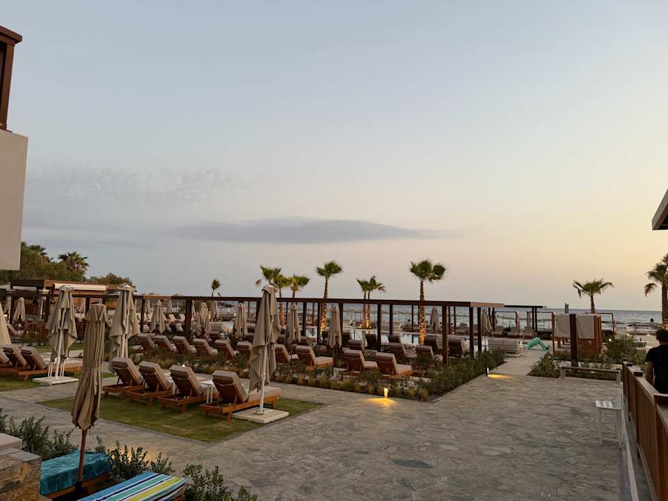 Gartenanlage allsun Hotel Carolina Mare