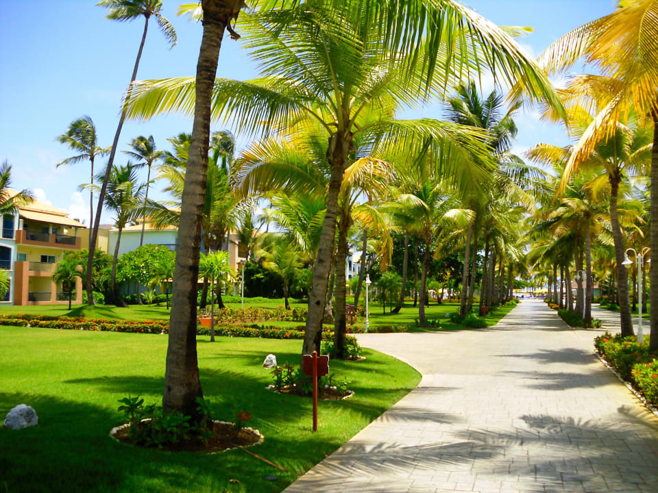 So schön Ocean Blue & Sand