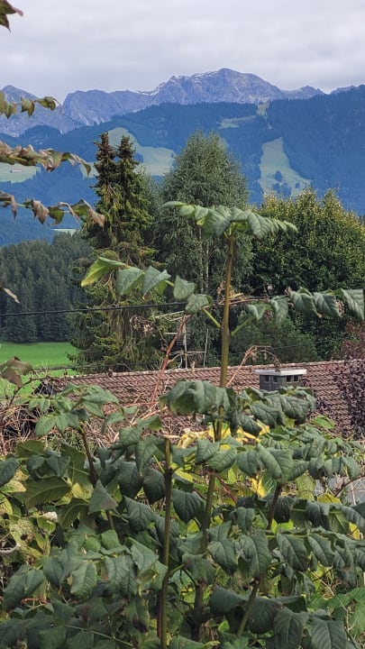 Ausblick Familien- und Wellnesshotel Viktoria
