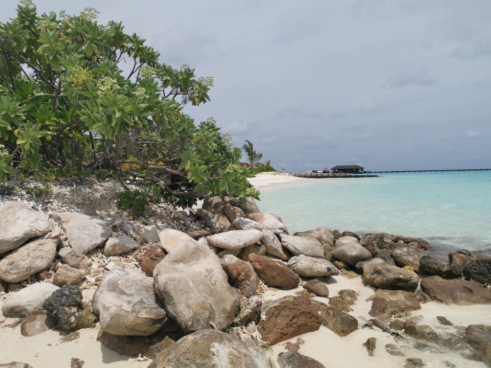 Strand Adaaran Select Meedhupparu Island Resort - Premium All Inclusive