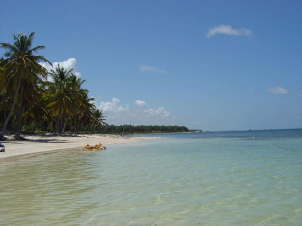 Strand Catalonia Punta Cana - All Inclusive