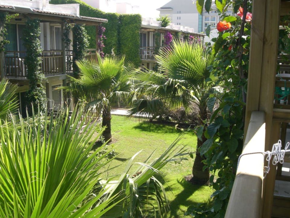 Ausblick aus dem Zimmer 623 Paloma Oceana