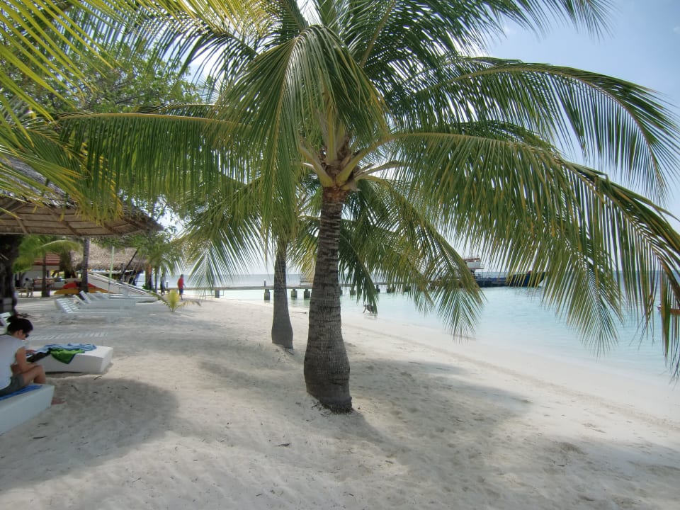 Strand an der Beachbar ananea Diamonds Athuruga