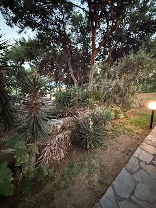 Gartenanlage Hotel Kalithea Mare Palace