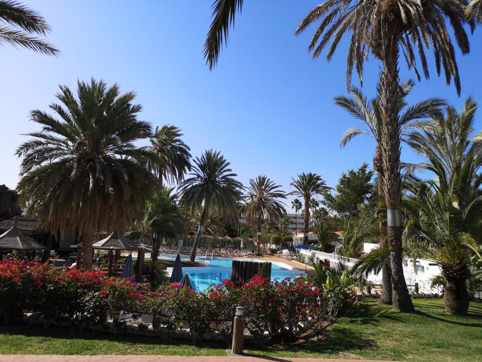 Pool HL Miraflor Suites Hotel