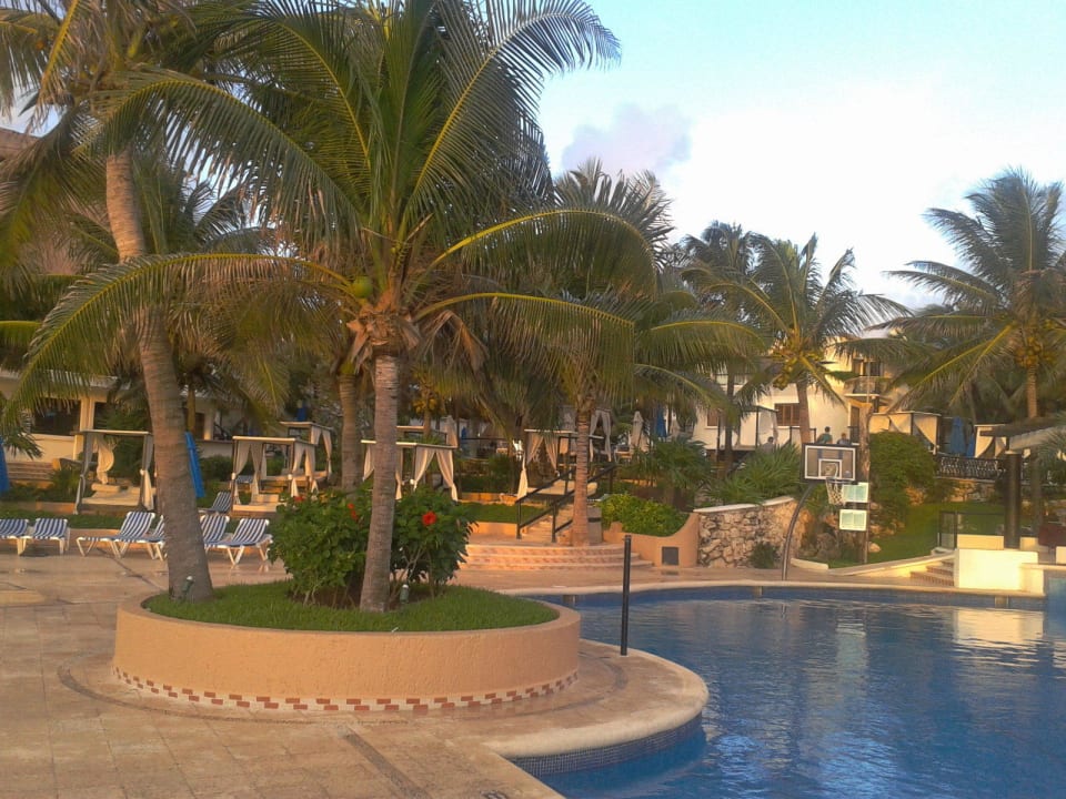 Morgens! The Reef Playacar