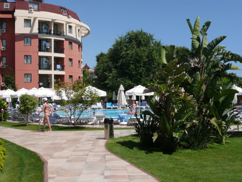 Pool Palmeras Beach Hotel