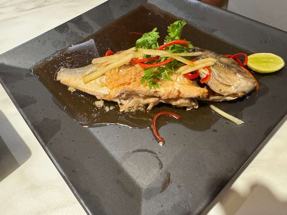 Gastro JAZ Elite Asteria