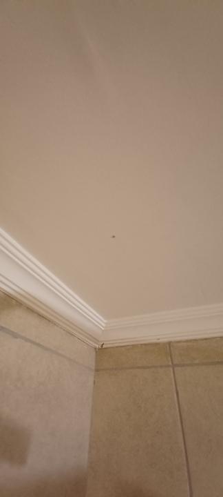 Zimmer Well Palace Side