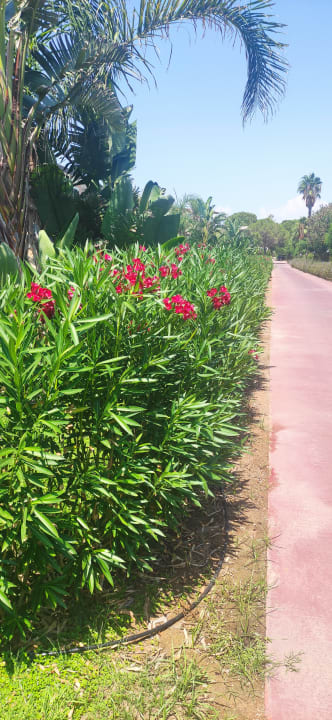 Außenansicht Megasaray Club Belek