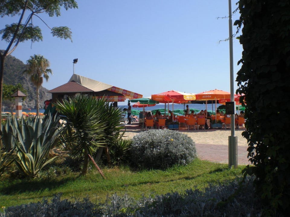 Strandbar Gardenia Hotel