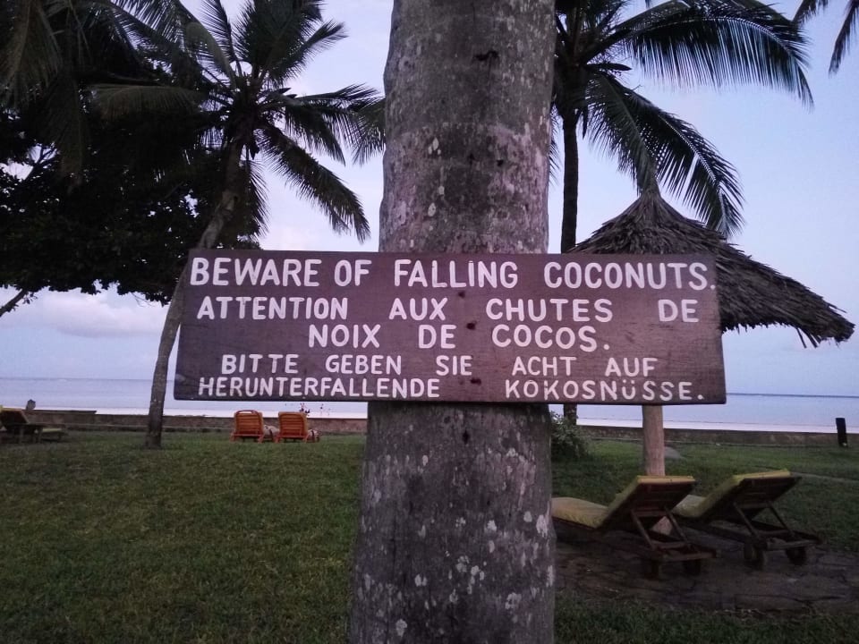 Gartenanlage Neptune Paradise Beach Resort & Spa