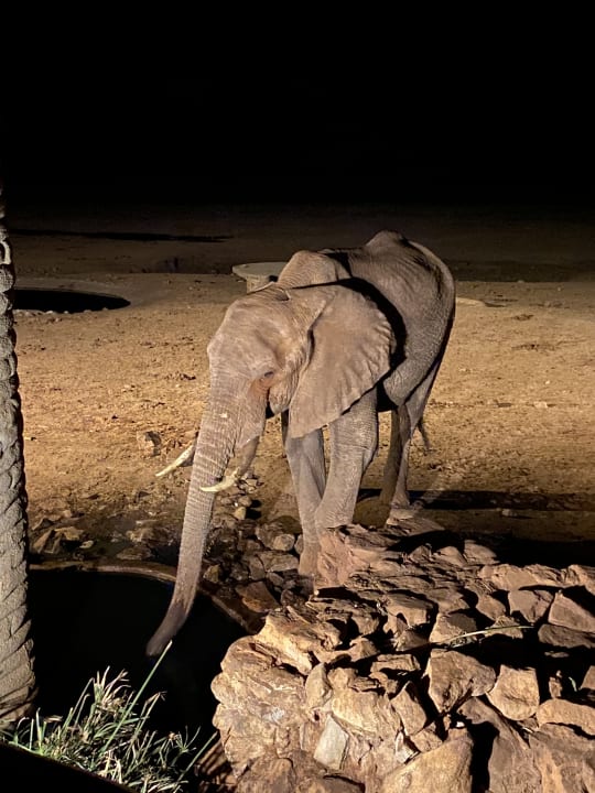 Sport & Freizeit Taita Hills Safari Resort & Spa