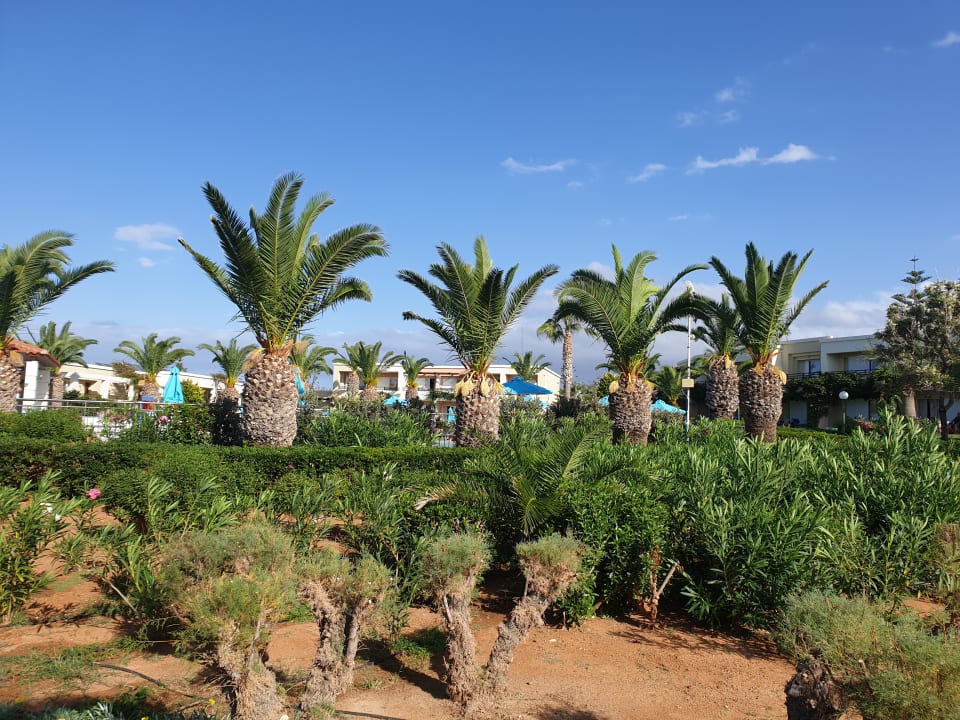 Gartenanlage Iberostar Waves Creta Panorama & Mare