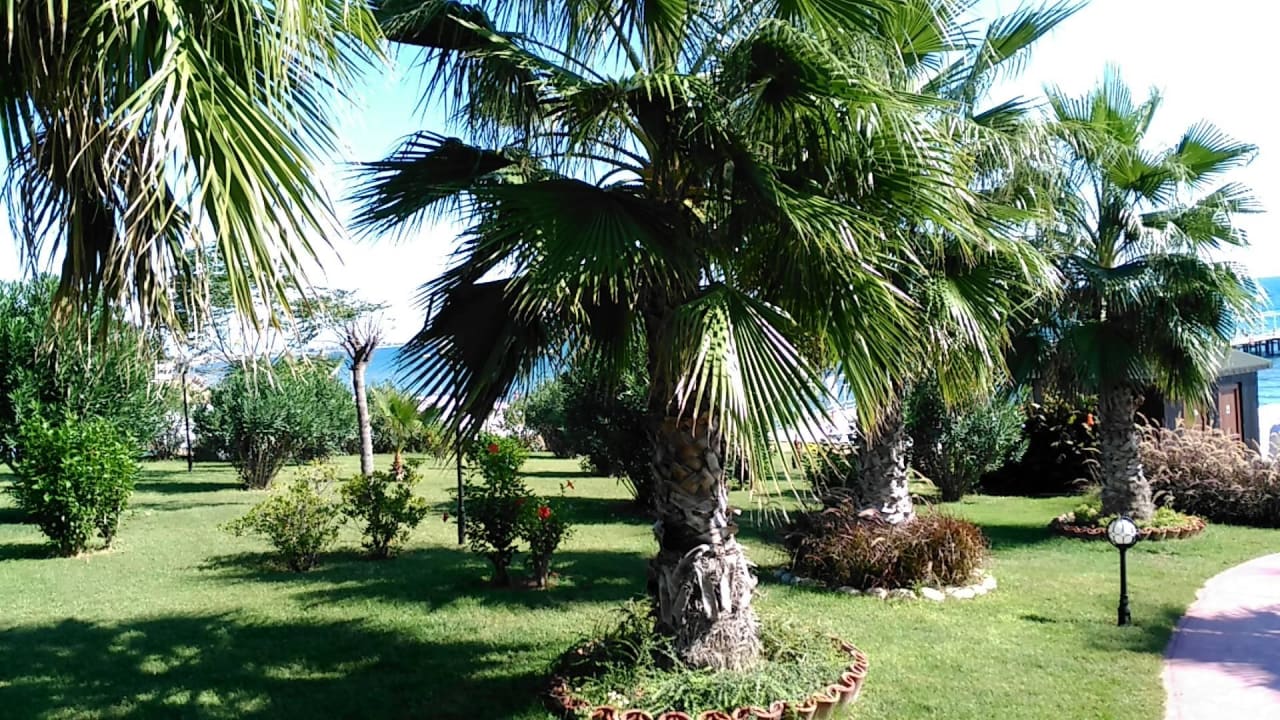 Weg zum Strand Hotel Turan Prince