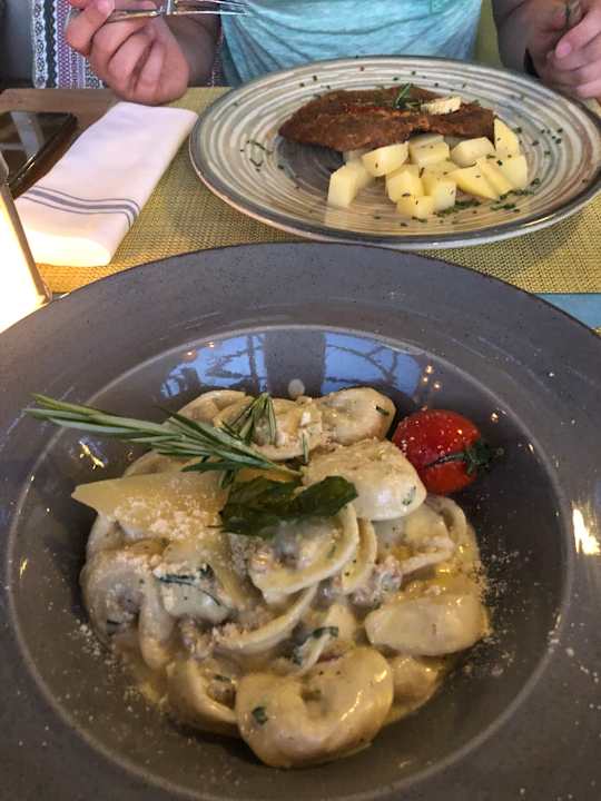 Gastro Acanthus Cennet Barut Collection