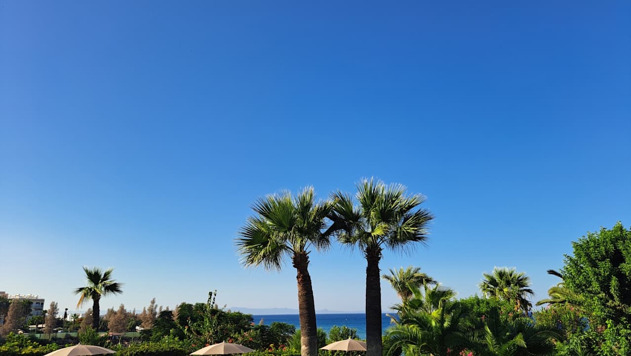 Ausblick Crystal Springs Beach Hotel