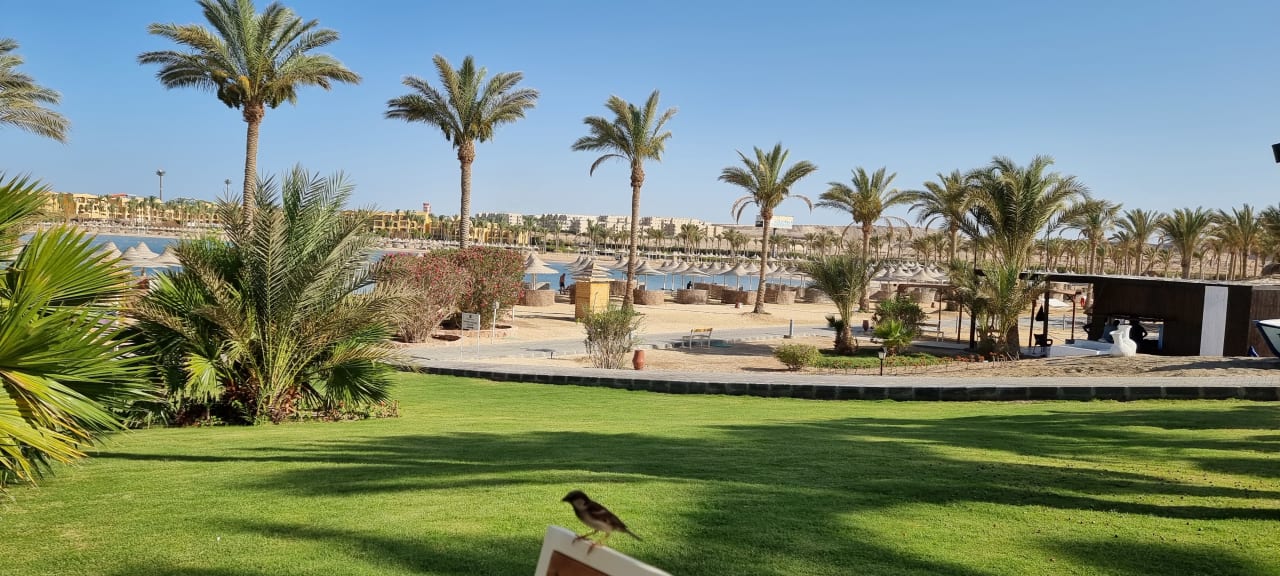 Gartenanlage Steigenberger Coraya Beach - Adults only