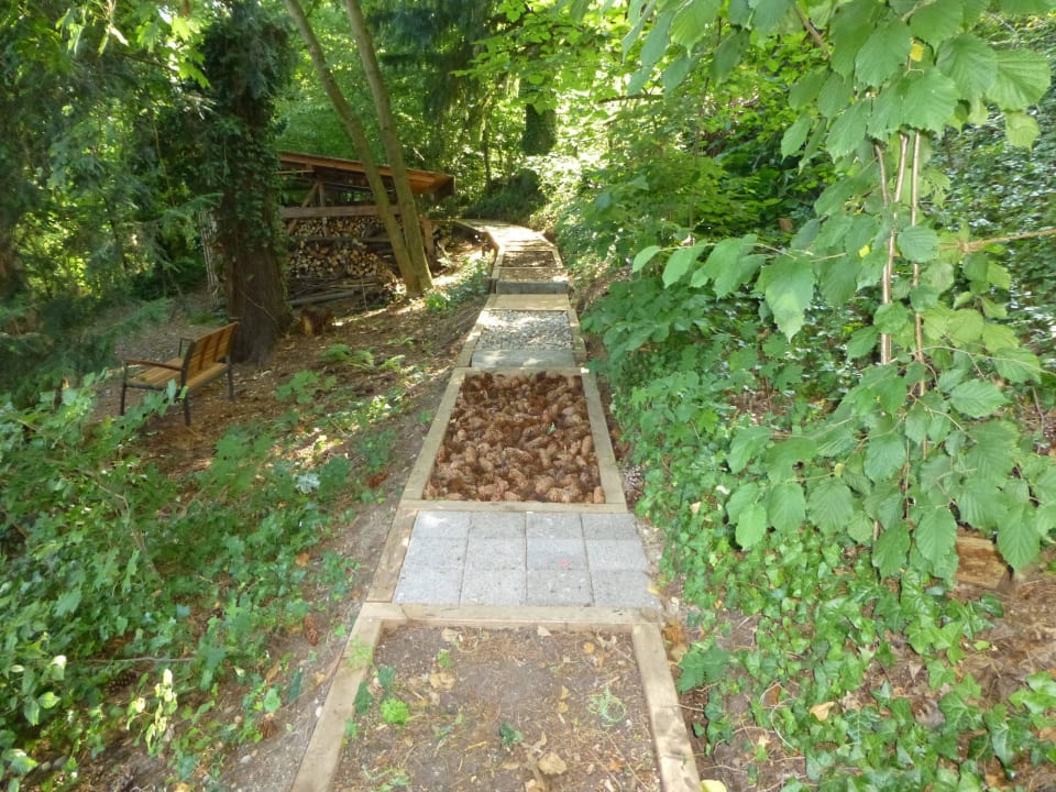 Barfussweg Hotel Promenade