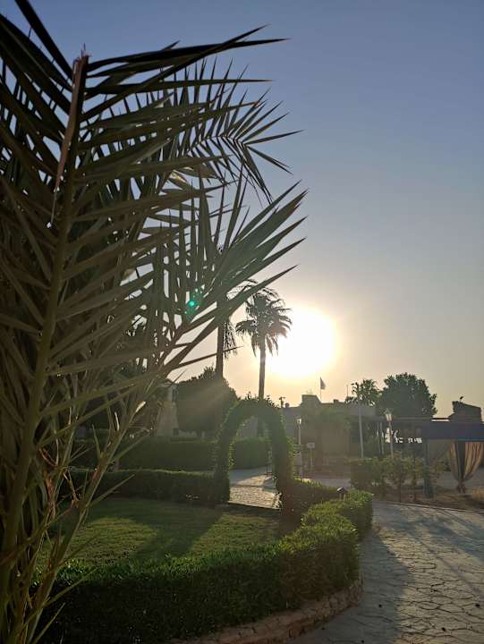 Gartenanlage Eagles Paradise Abu Soma