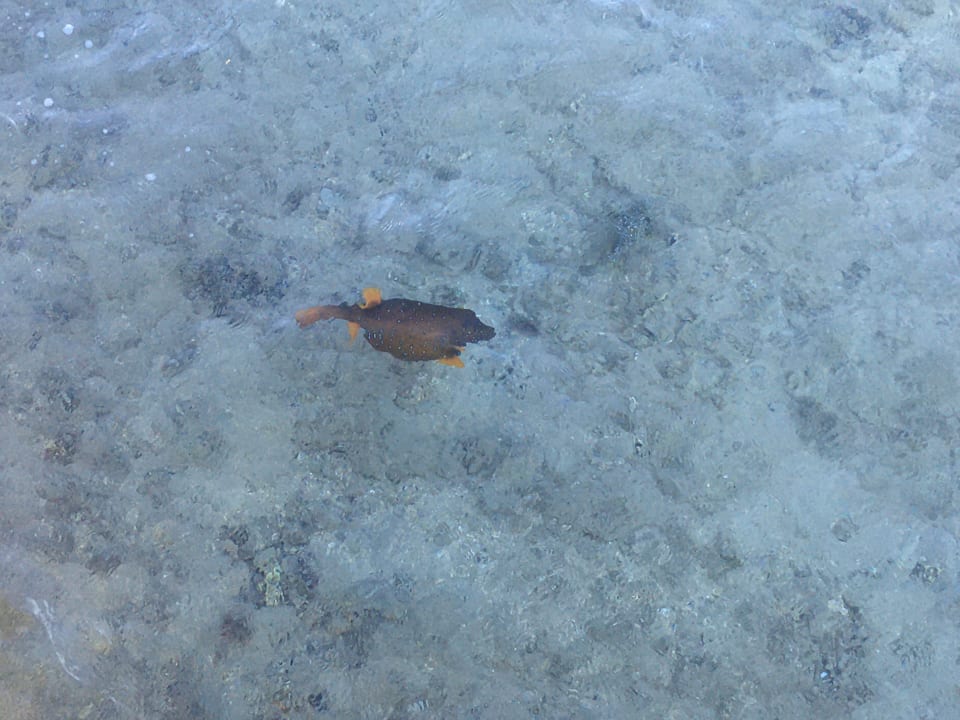 Strand Stella Garden Resort & Spa, Makadi Bay