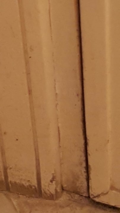 Zimmer Ghazala Gardens