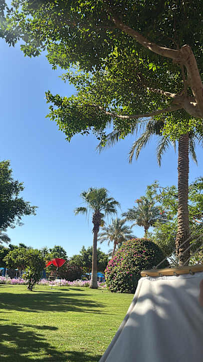 Gartenanlage Desert Rose