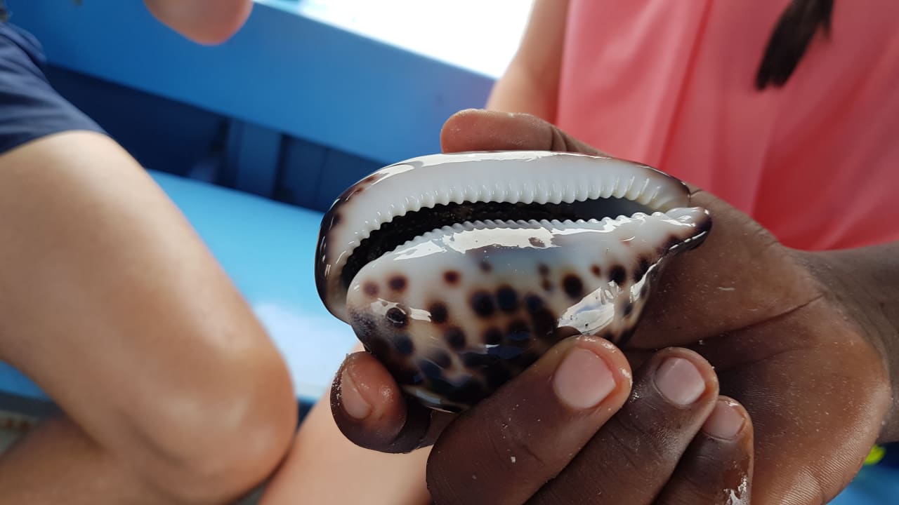 Sonstiges Hotel Southern Palms Beach Resort