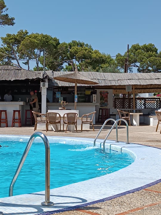 Pool Hotel Pinos Playa