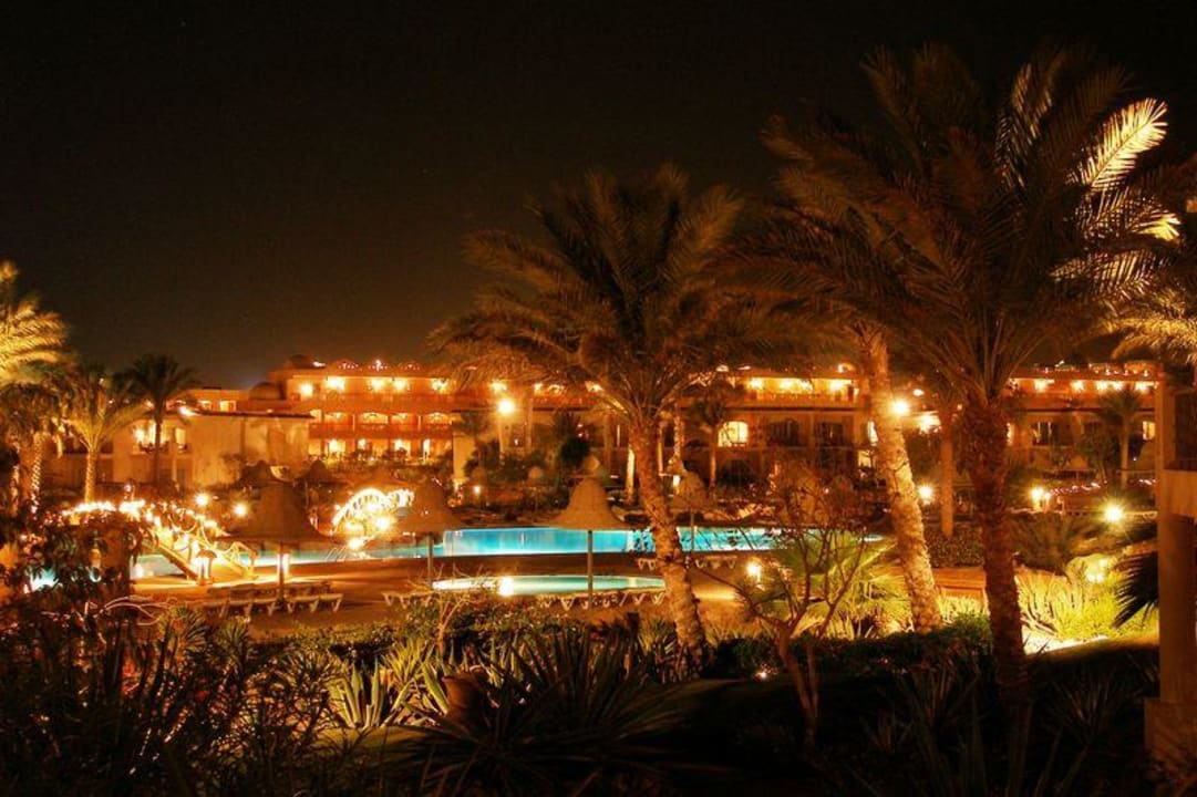 Ogród z wieczora Parrotel Beach Resort