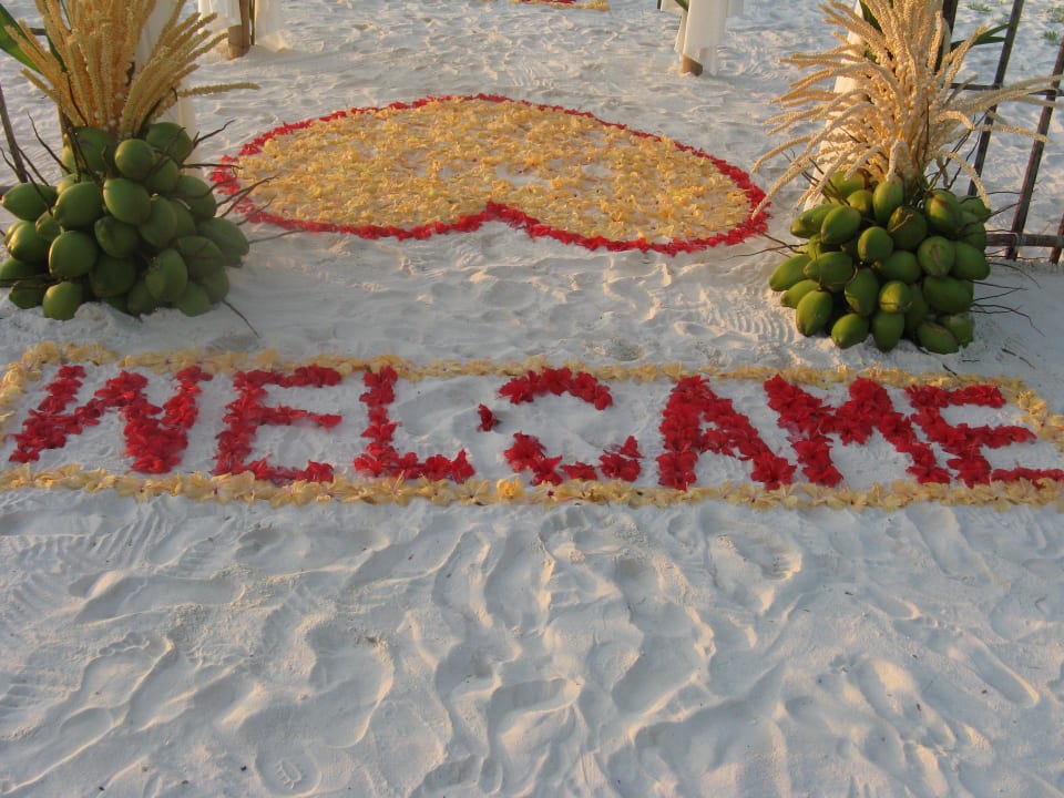 Hochzeit Royal Island