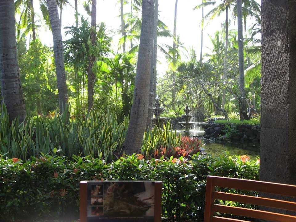 Aussicht vom Frühstückstisch! Paradisus by Melia Bali