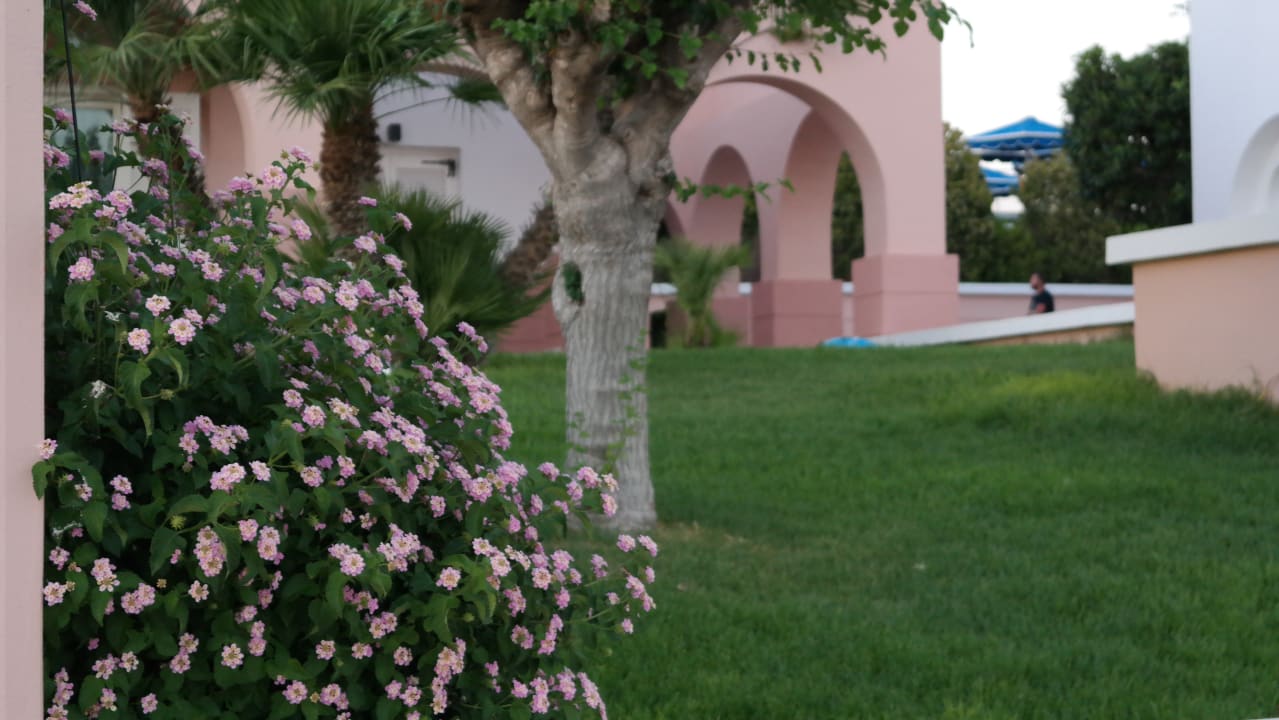 Gartenanlage Mitsis Rodos Village