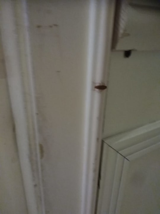 Zimmer Imperial Palace Hotel