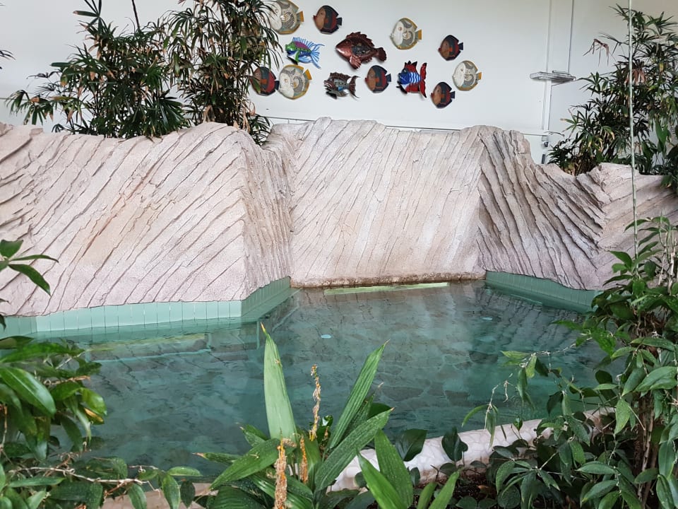 Pool Center Parcs Park Allgäu