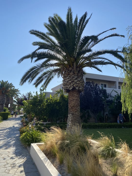 Gartenanlage Hotel Esperia