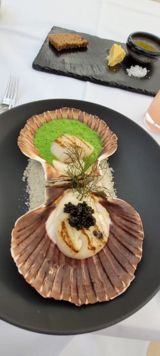 Gastro Villa Contessa