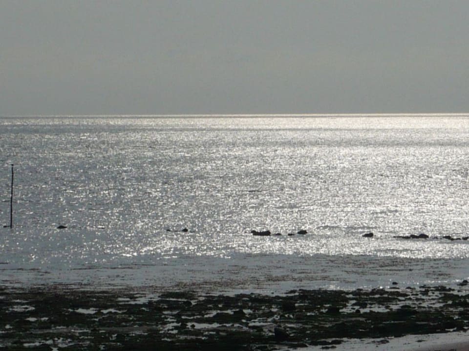 Blick vom Hotelzimmer auf das Meer Hotel Punta Lara