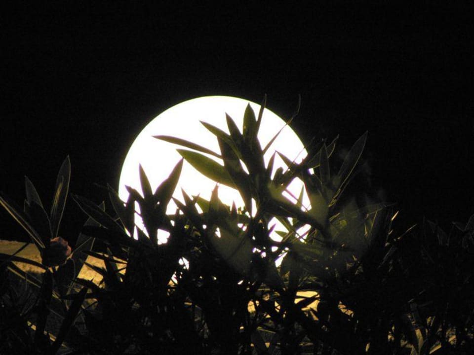 Blick vom Balkon Philoxenia Hotel