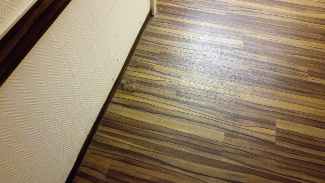 Überall Wollmäuse und Staub Ferienwohnungen Ferienpark Weissenhäuser Strand