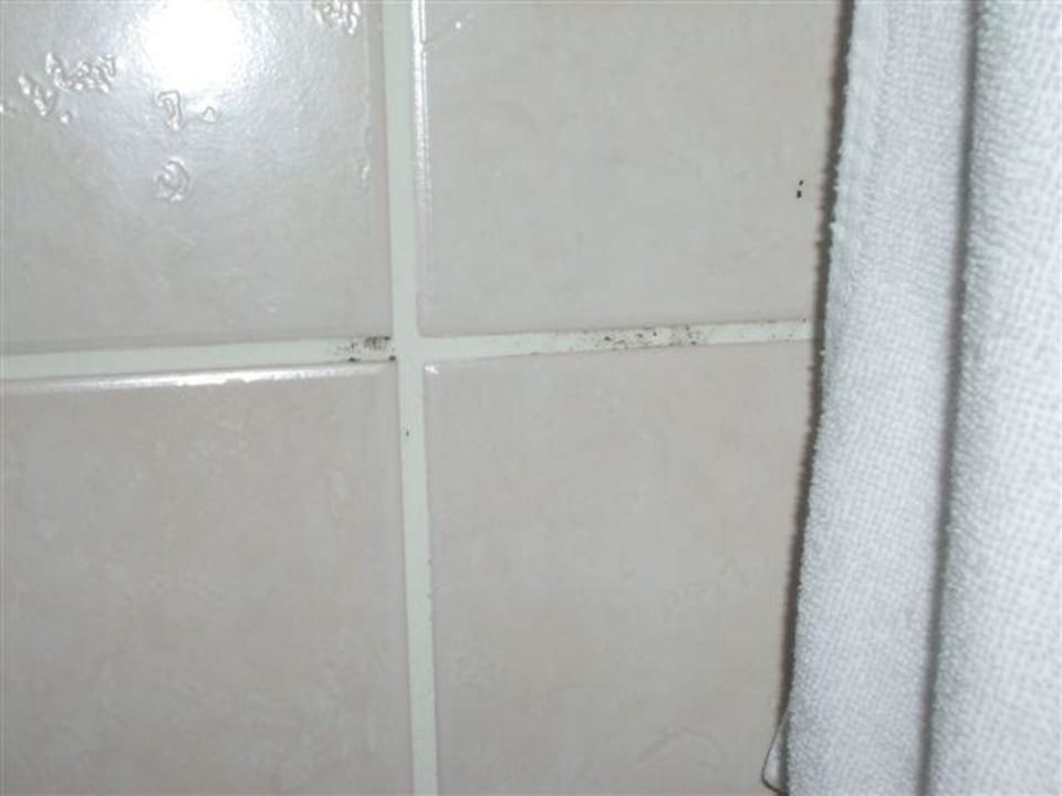 Schimmel Botanik Hotel & Resort