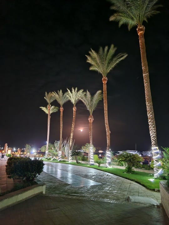 Gartenanlage Marriott Hurghada Beach Resort